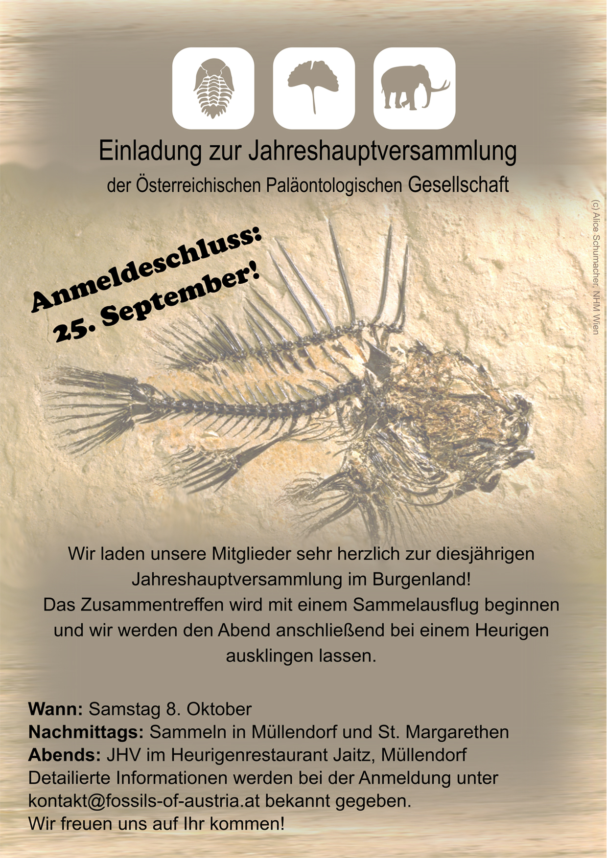 Ankndigung JHV 2022